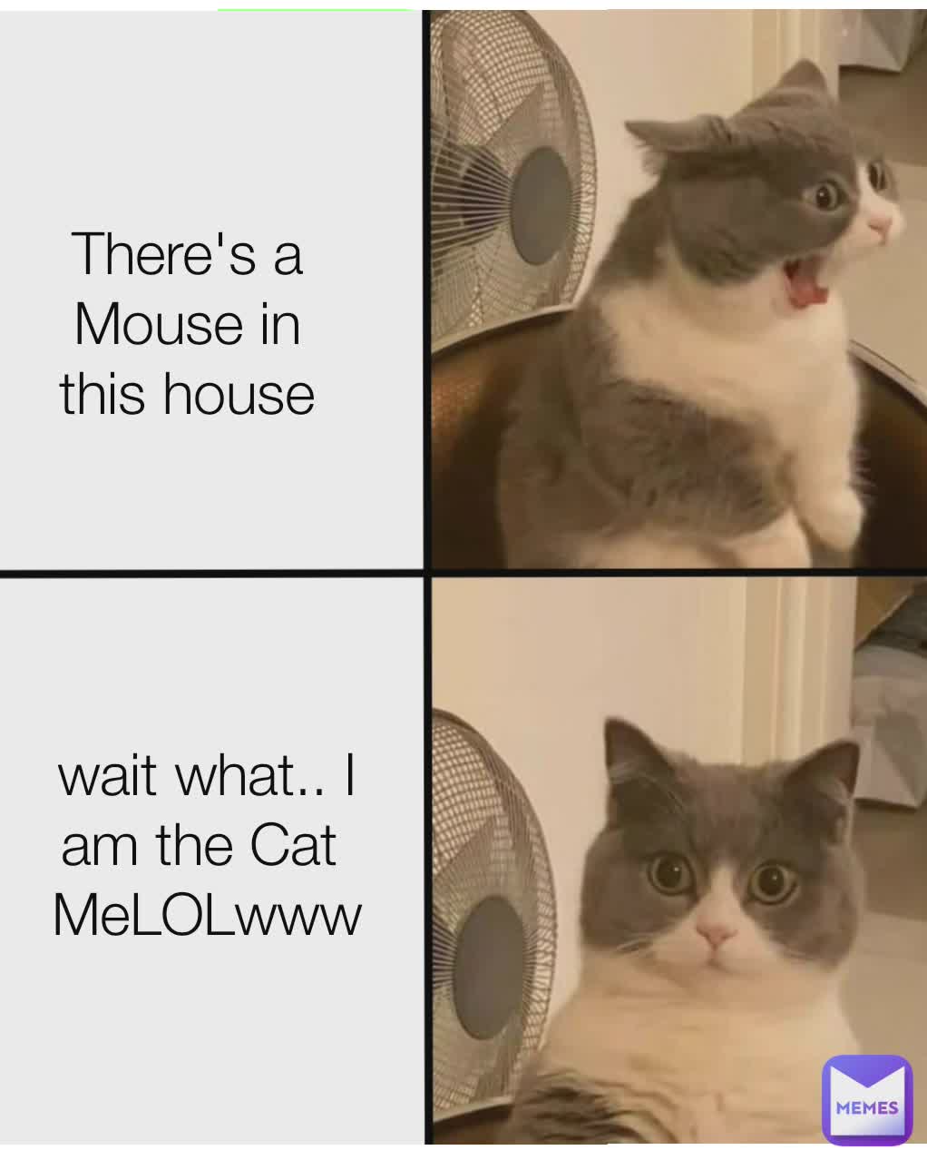 Type Text There S A Mouse In This House Wait What I Am The Cat Melolwww Jibranzichu Memes