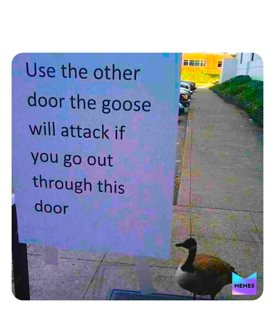 Meme by ya_gurls_dank_memes