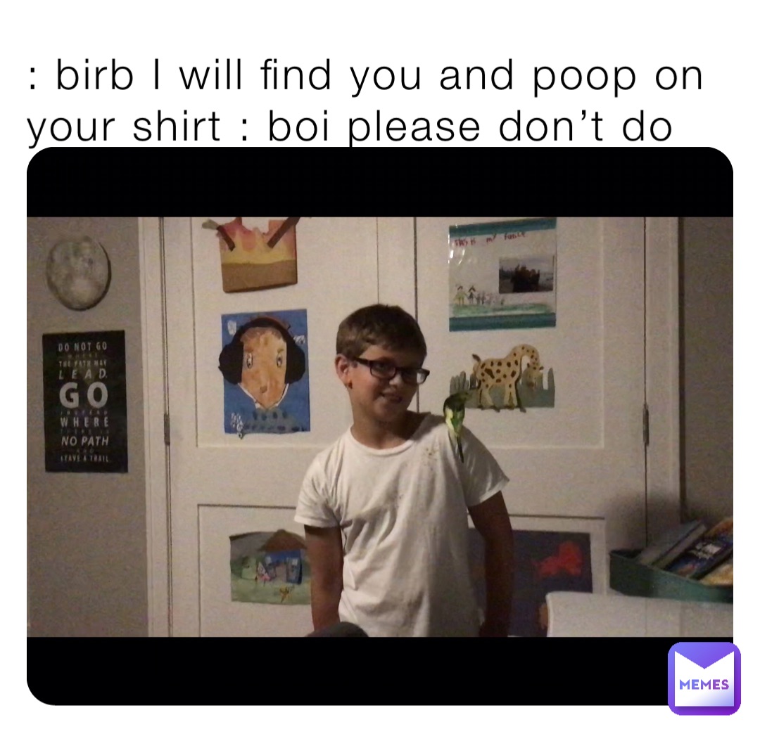 : birb I will find you and poop on your shirt : boi please don’t do it!!!