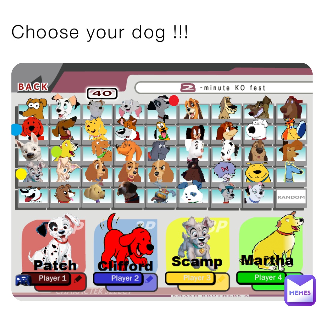 Choose your dog !!!