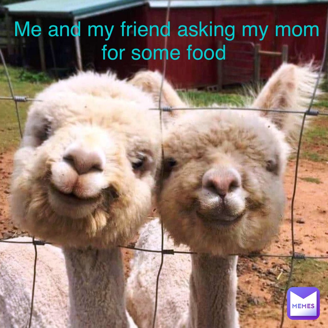 Me and my friend asking my mom for some food