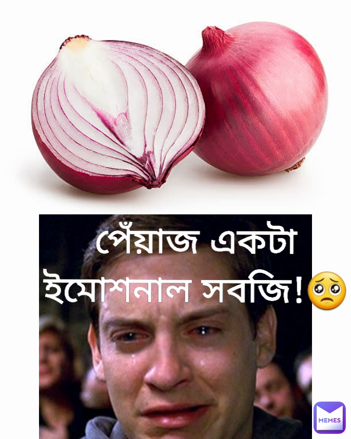 পেঁয়াজ একটা ইমোশনাল সবজি!🥺