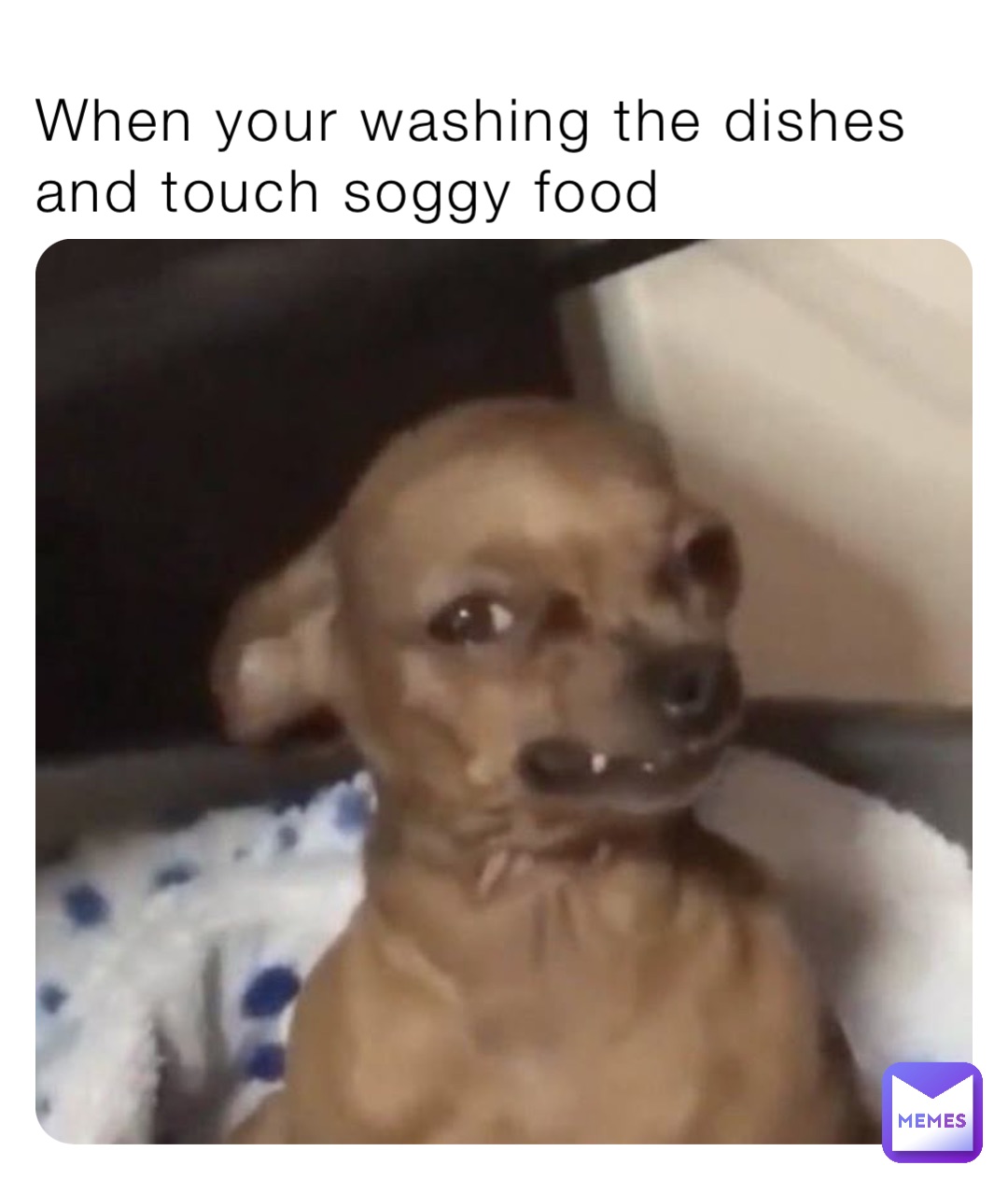 When your washing the dishes and touch soggy food
