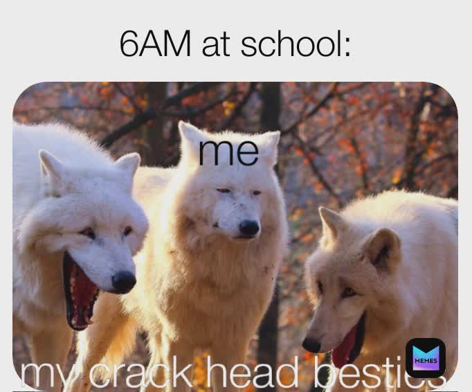 Meme by garbage_memes_