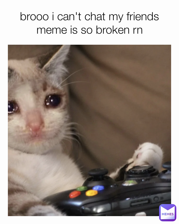 brooo i can't chat my friends meme is so broken rn