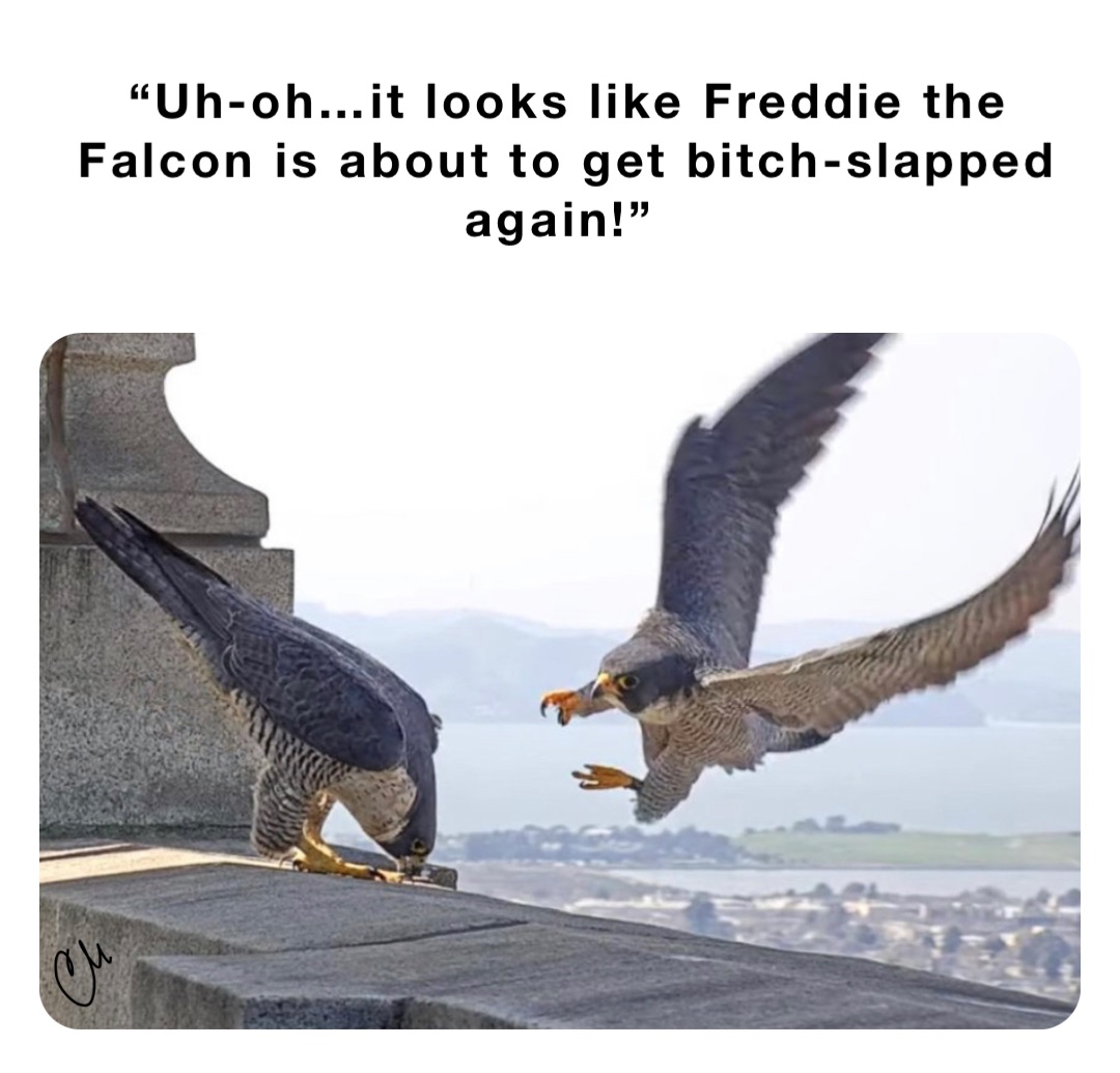 “Uh-oh…it looks like Freddie the Falcon is about to get bitch-slapped again!”