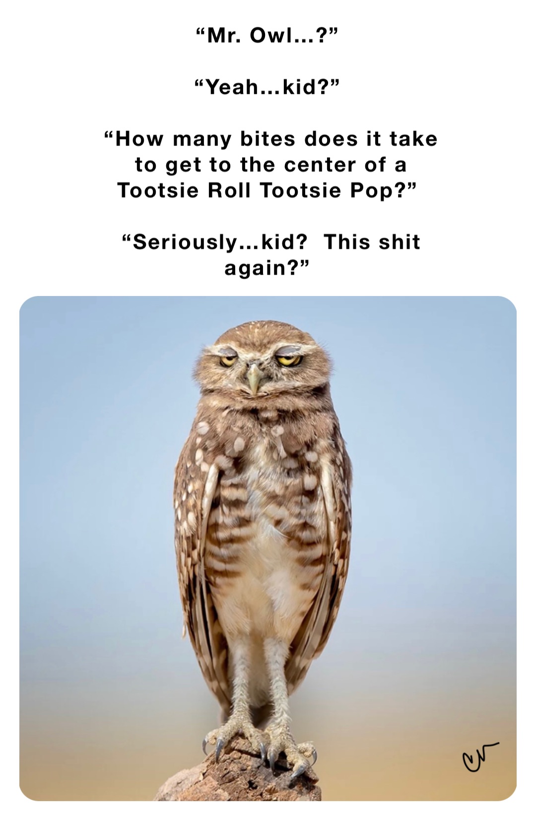 “Mr. Owl…?”

“Yeah…kid?”

“How many bites does it take to get to the center of a Tootsie Roll Tootsie Pop?”

“Seriously…kid?  This shit again?”