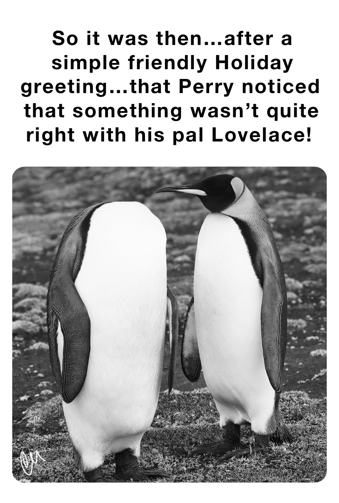 So it was then…after a simple friendly Holiday greeting…that Perry noticed that something wasn’t quite right with his pal Lovelace!