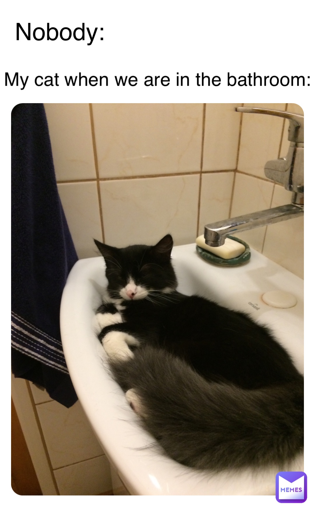 Double tap to edit Nobody My cat when we are in the bathroom