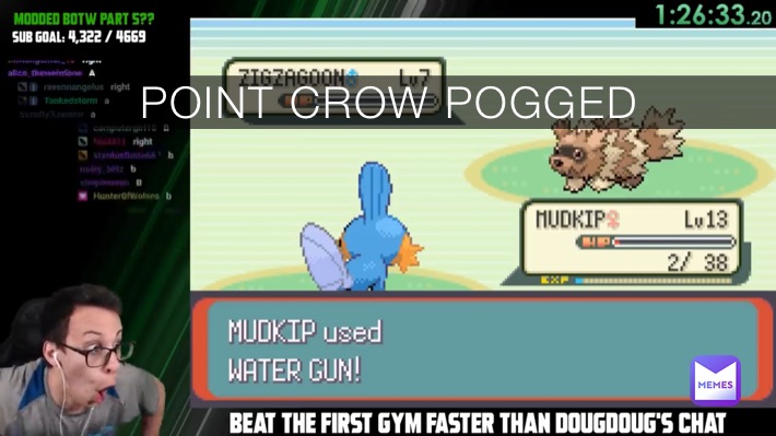 POINT CROW POGGED