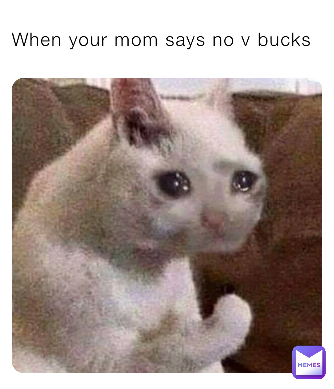 When your mom says no v bucks