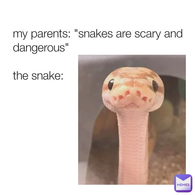 my parents: "snakes are scary and dangerous"

the snake: