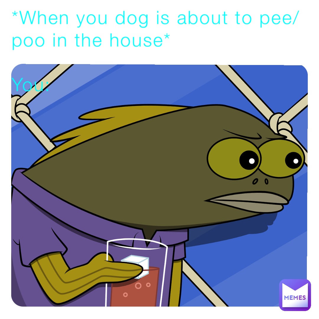 *When you dog is about to pee/poo in the house* 

You: