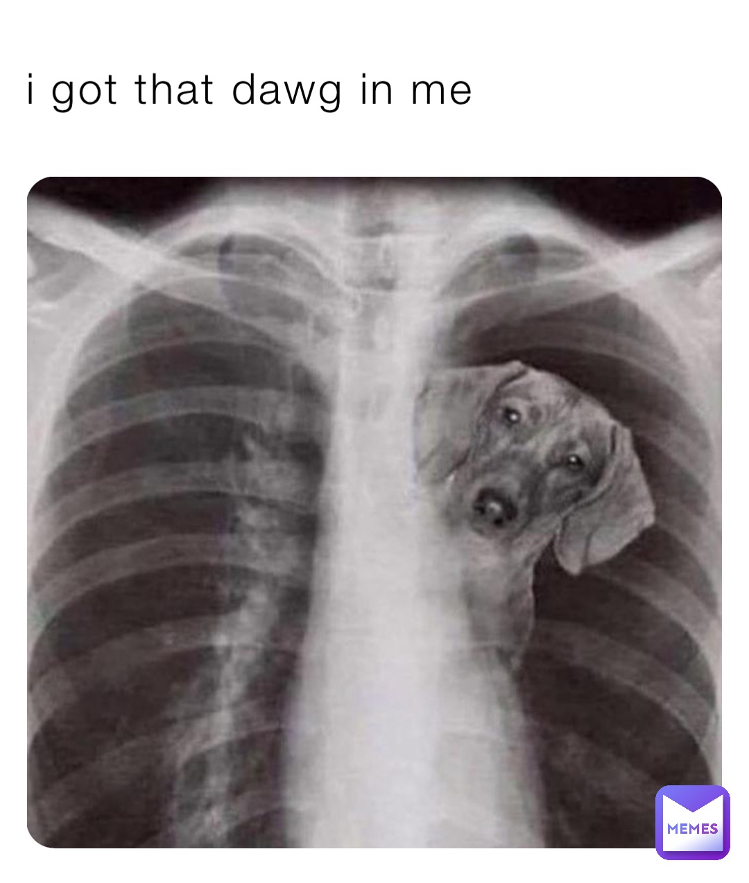 Post By Spooky Commanewism Memes post-by-spooky-commanewism-memes