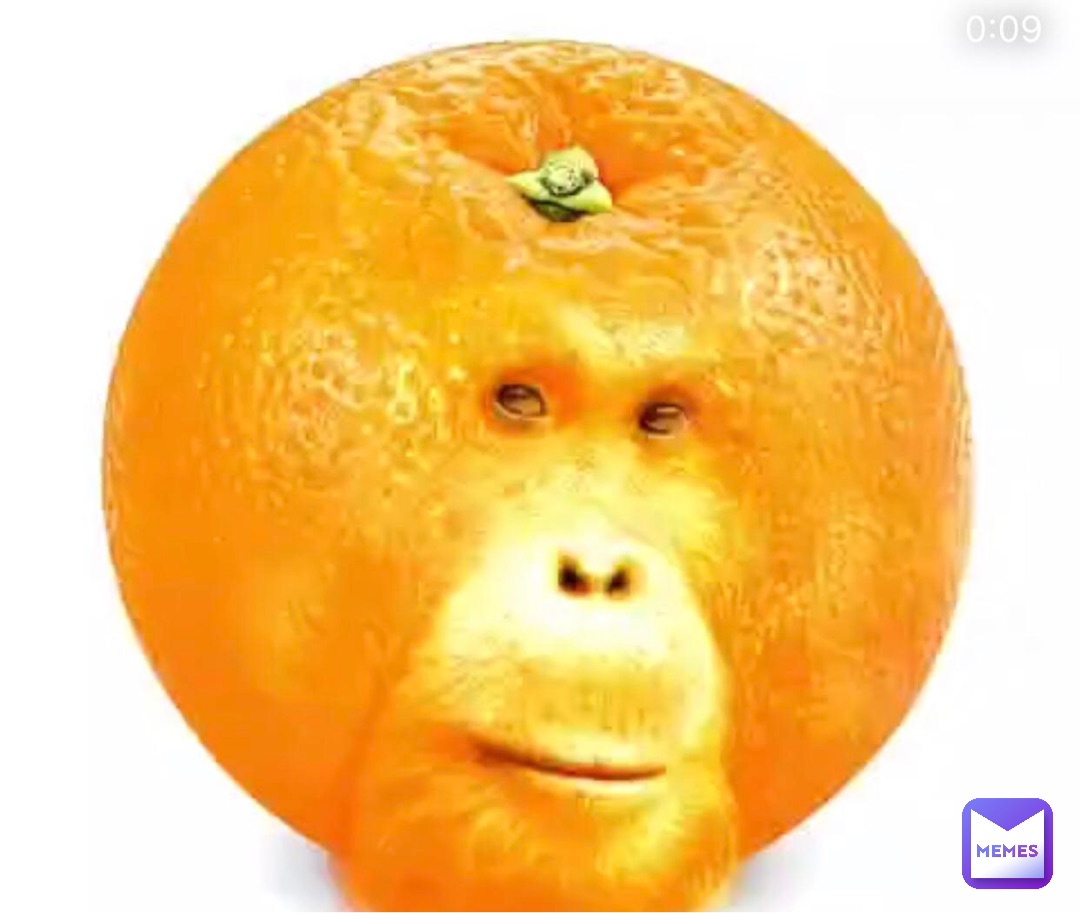 Мемы Про Фрукты