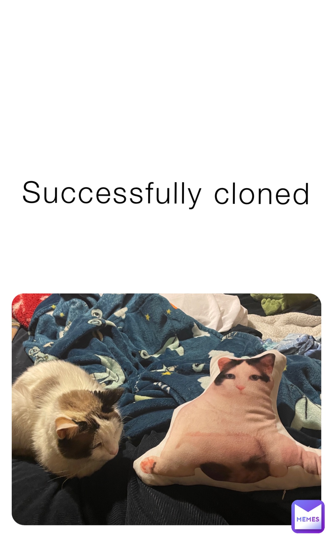 Successfully cloned