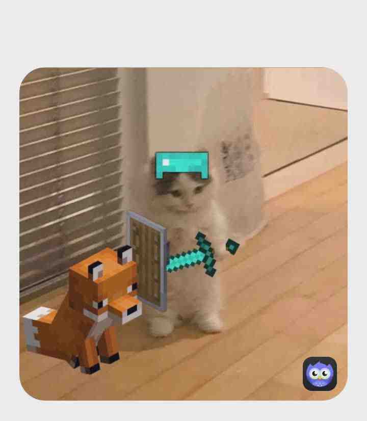 Meme shared by @Shattered_Crown