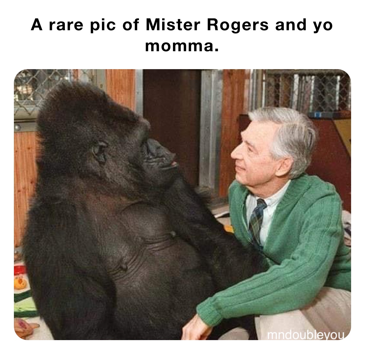 A rare pic of Mister Rogers and yo momma. mndoubleyou Memes