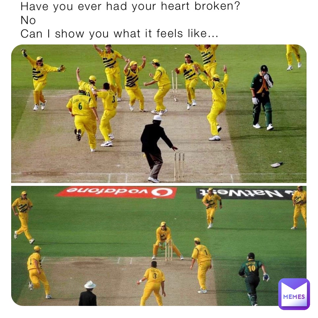 cricket meme