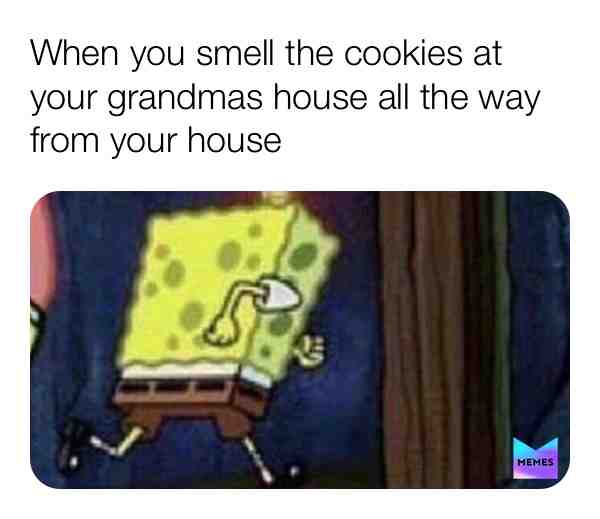 🍪 🍪 #cookie #spongebob #grandma #memes