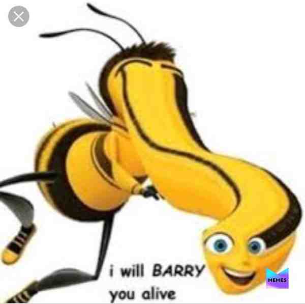 Meme shared by @Gamer_Girl_Bribri