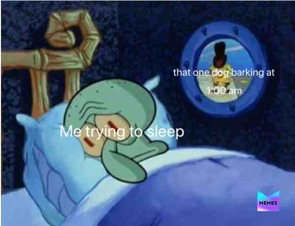 😂