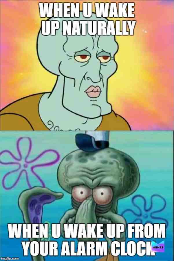 Meme shared by @Gamer_Girl_Bribri
