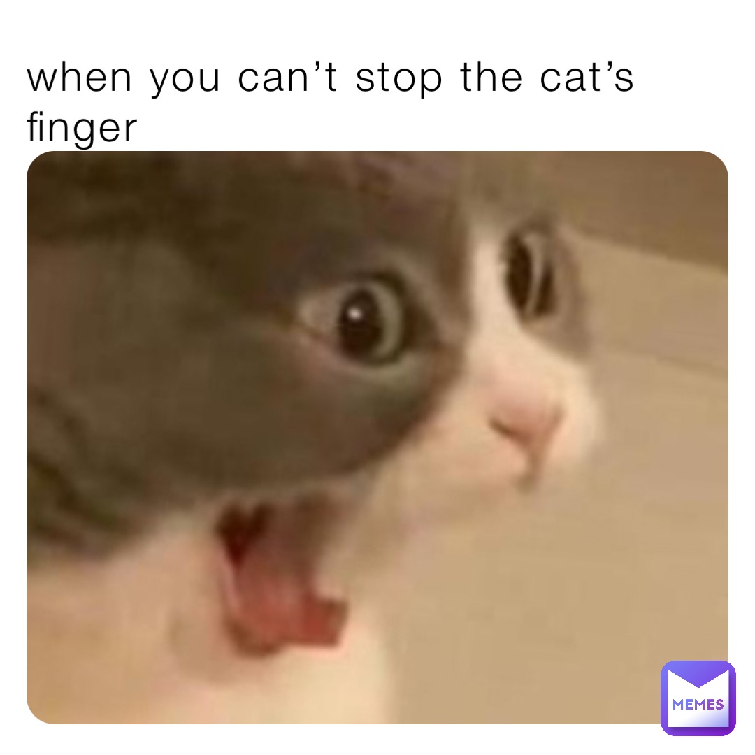 when you can’t stop the cat’s finger