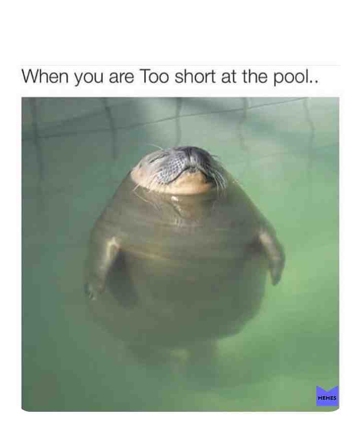 #fatboy😂😂