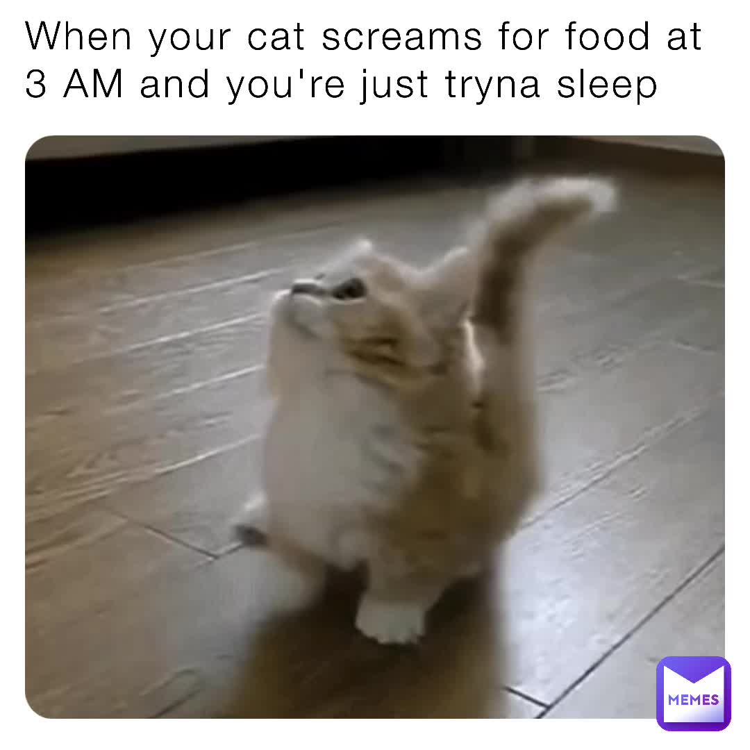 Meme preview