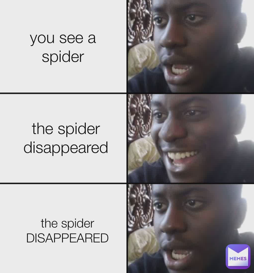 you see a spider the spider disappeared the spider DISAPPEARED