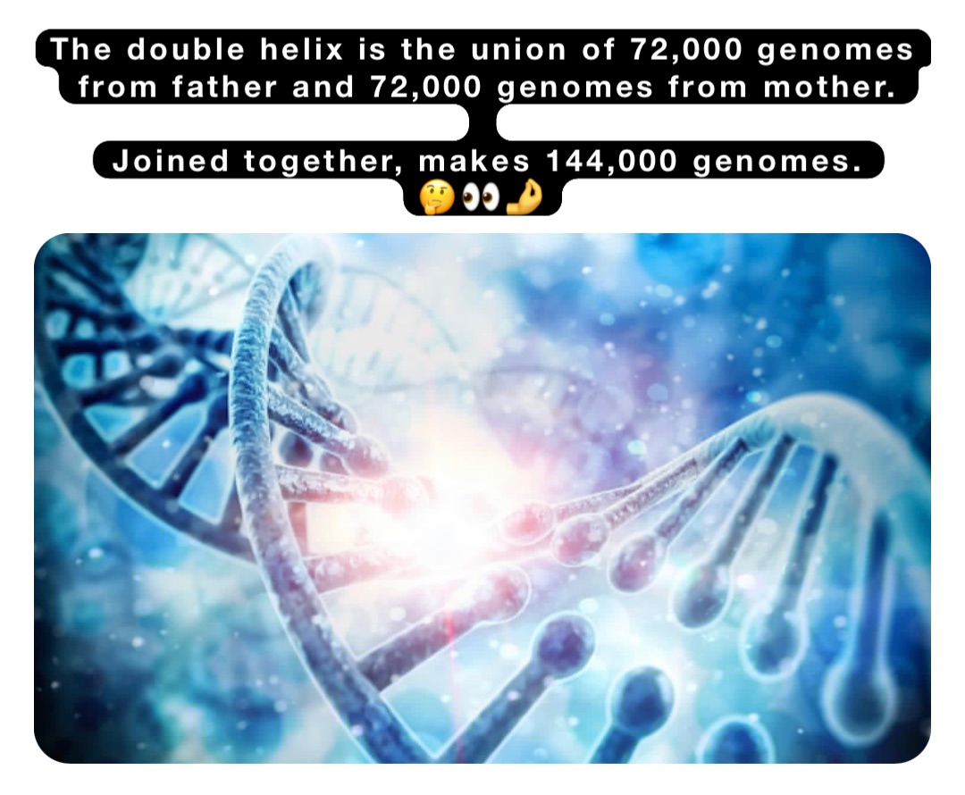 The double helix is the union of 72,000 genomes from father and 72,000 genomes from mother. 

Joined together, makes 144,000 genomes. 
🤔👀🤌