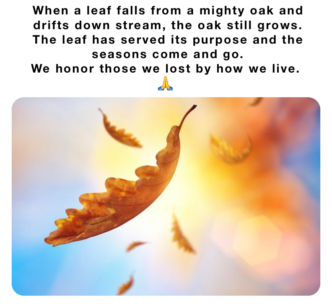 When a leaf falls from a mighty oak and drifts down stream, the oak still grows. 
The leaf has served its purpose and the seasons come and go. 
We honor those we lost by how we live.
🙏