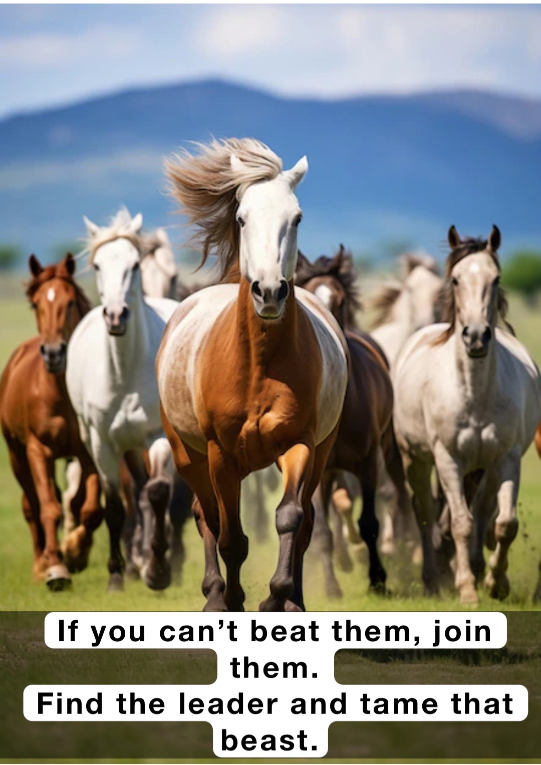 If you can’t beat them, join them. 
Find the leader and tame that beast.