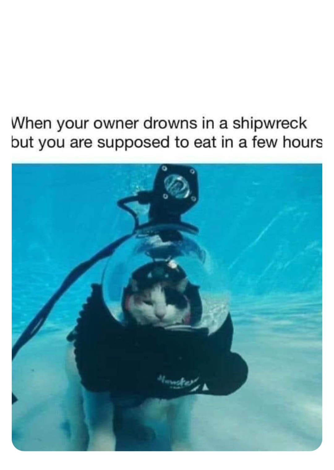Double tap to edit