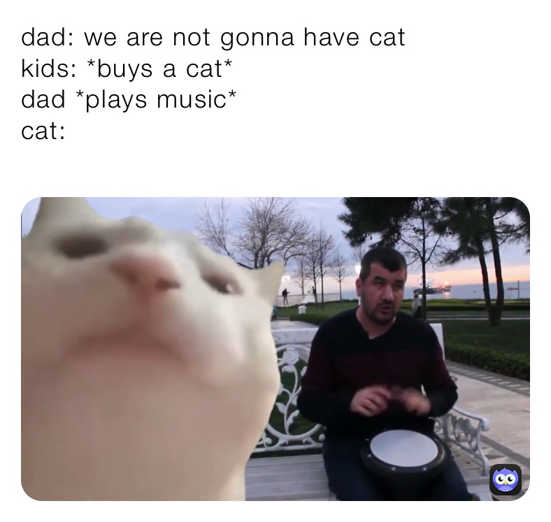 dad: we are not gonna have cat
kids: *buys a cat*
dad *plays music*
cat:
