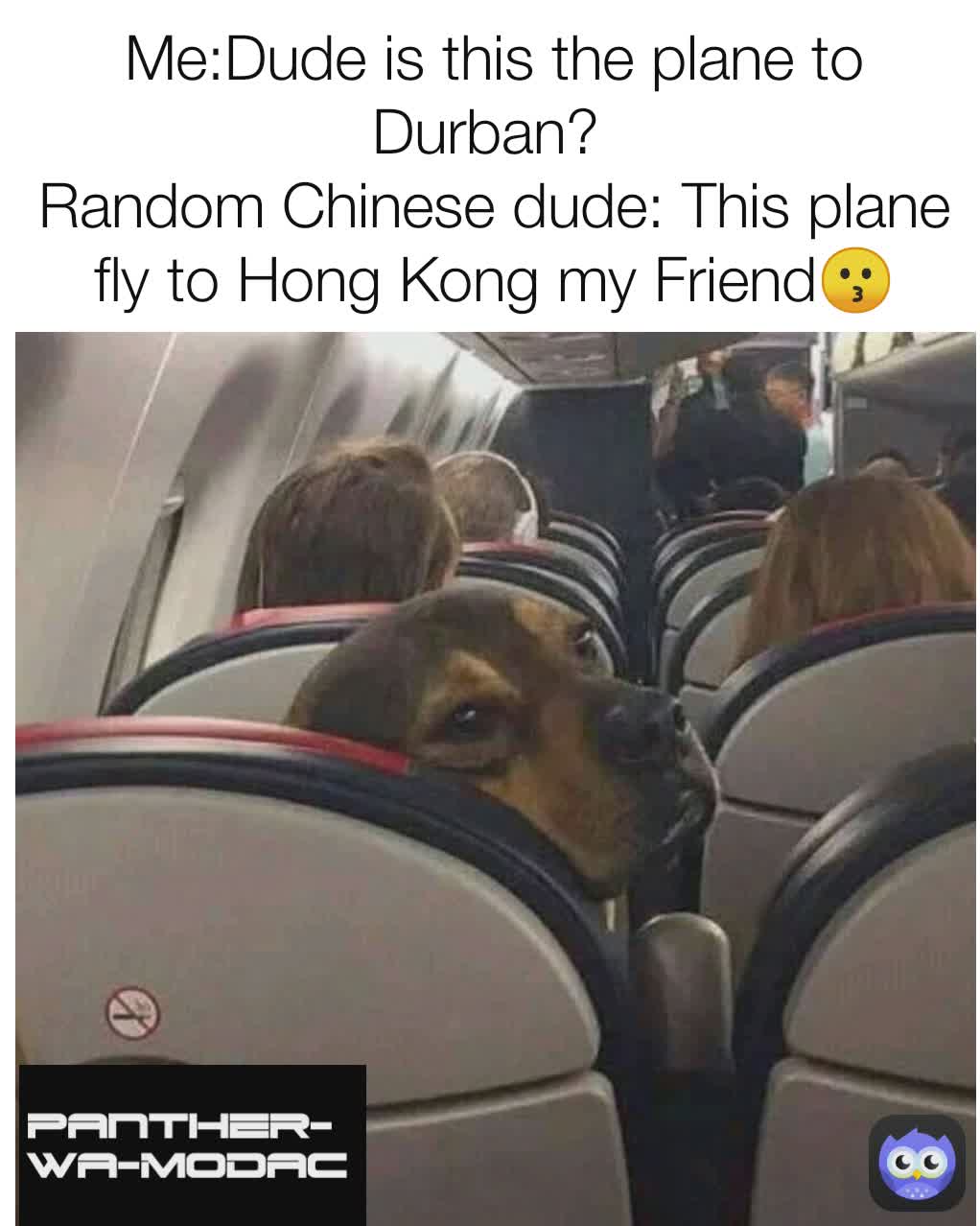 PANTHER-WA-MODAC Me:Dude is this the plane to Durban? 
Random Chinese dude: This plane fly to Hong Kong my Friend😗