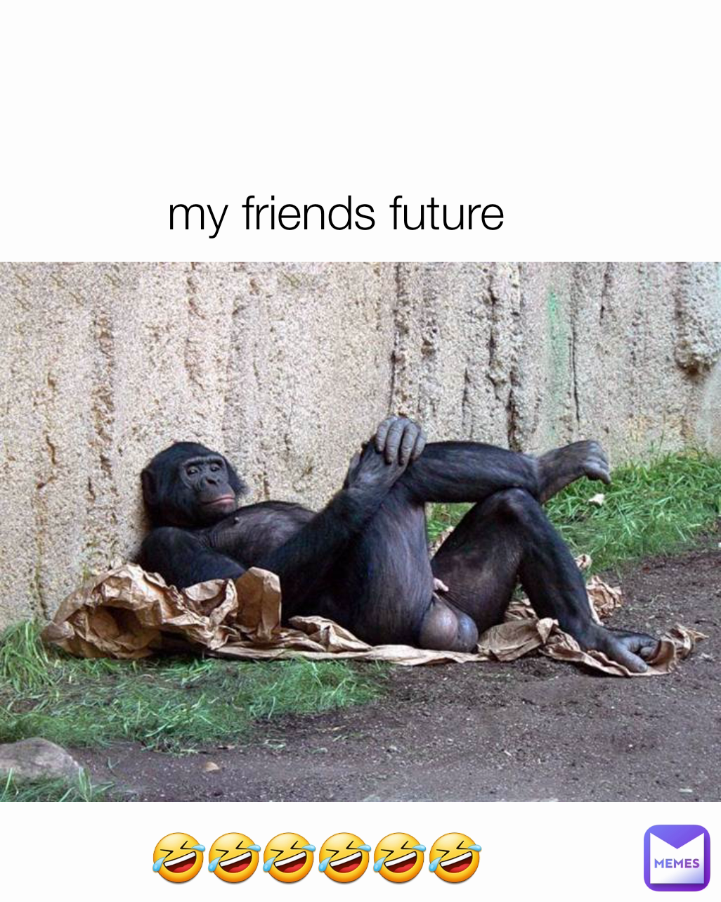 my friends future  🤣🤣🤣🤣🤣🤣