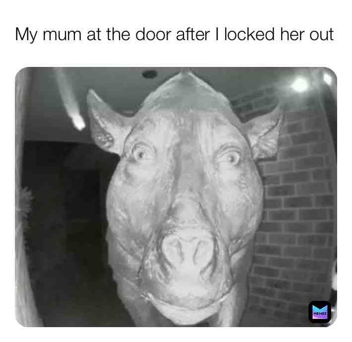 Pls don’t beat me