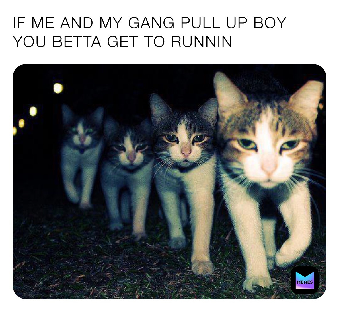 IF ME AND MY GANG PULL UP BOY YOU BETTA GET TO RUNNIN