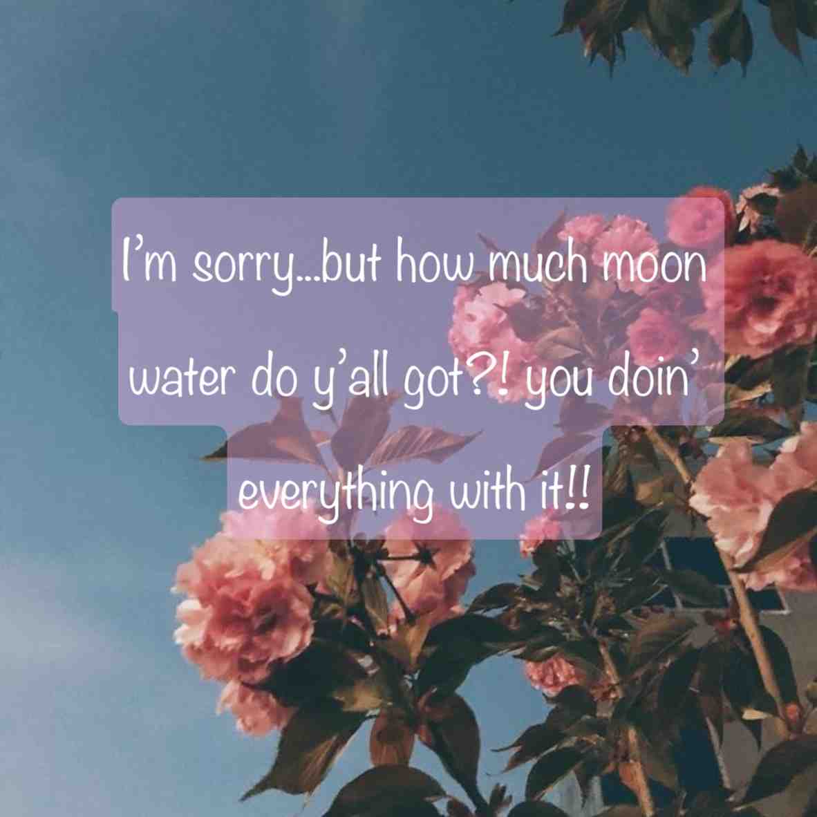 #witchythings #witchcraft #witch #ascension #triggered #regressiontherapy #multiverse #paralleluniverse #pastlives #pastliferegression #alternativehealing #alternateuniverse #dolorescannon #brujamemes #newearth