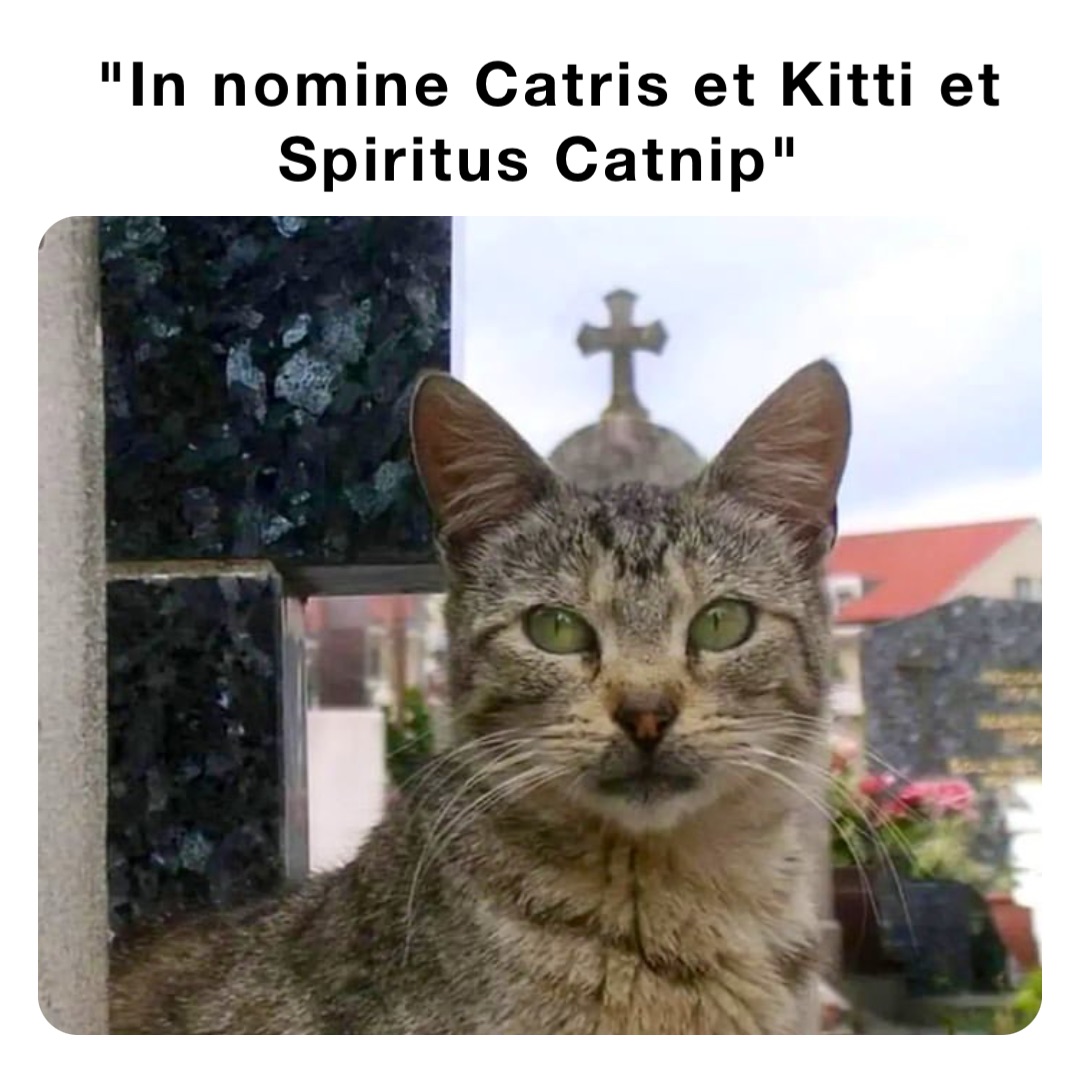 "In nomine Catris et Kitti et Spiritus Catnip"