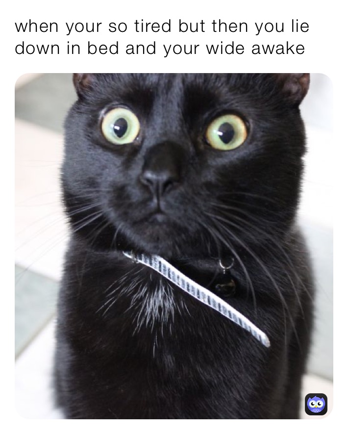 when your so tired but then you lie down in bed and your wide awake 