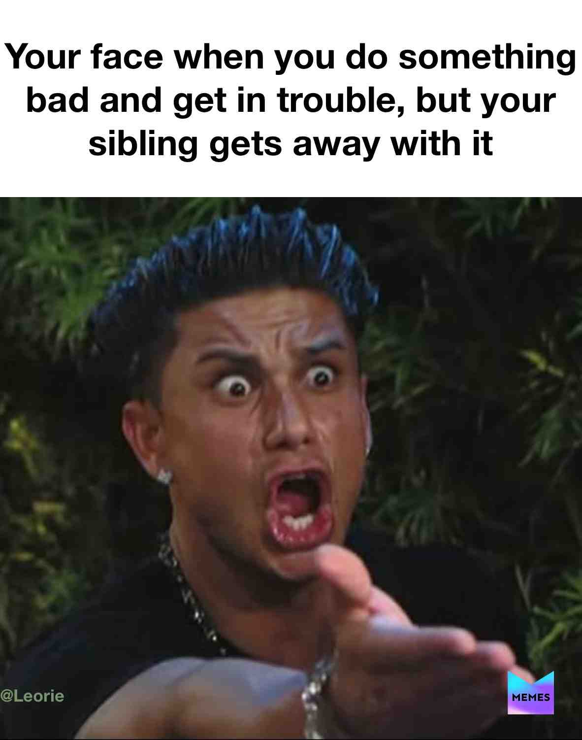 Meme shared by @Leorie