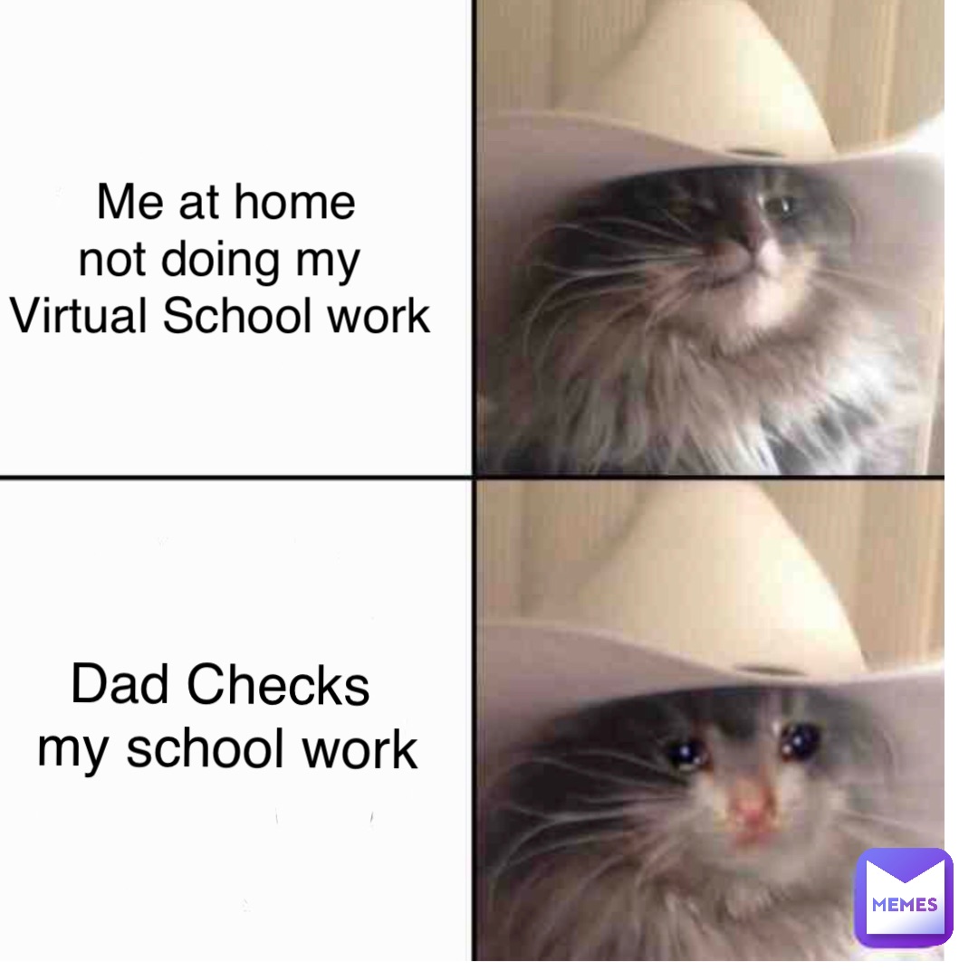 Me at home 
not doing my
Virtual School work Dad Checks
 my school work