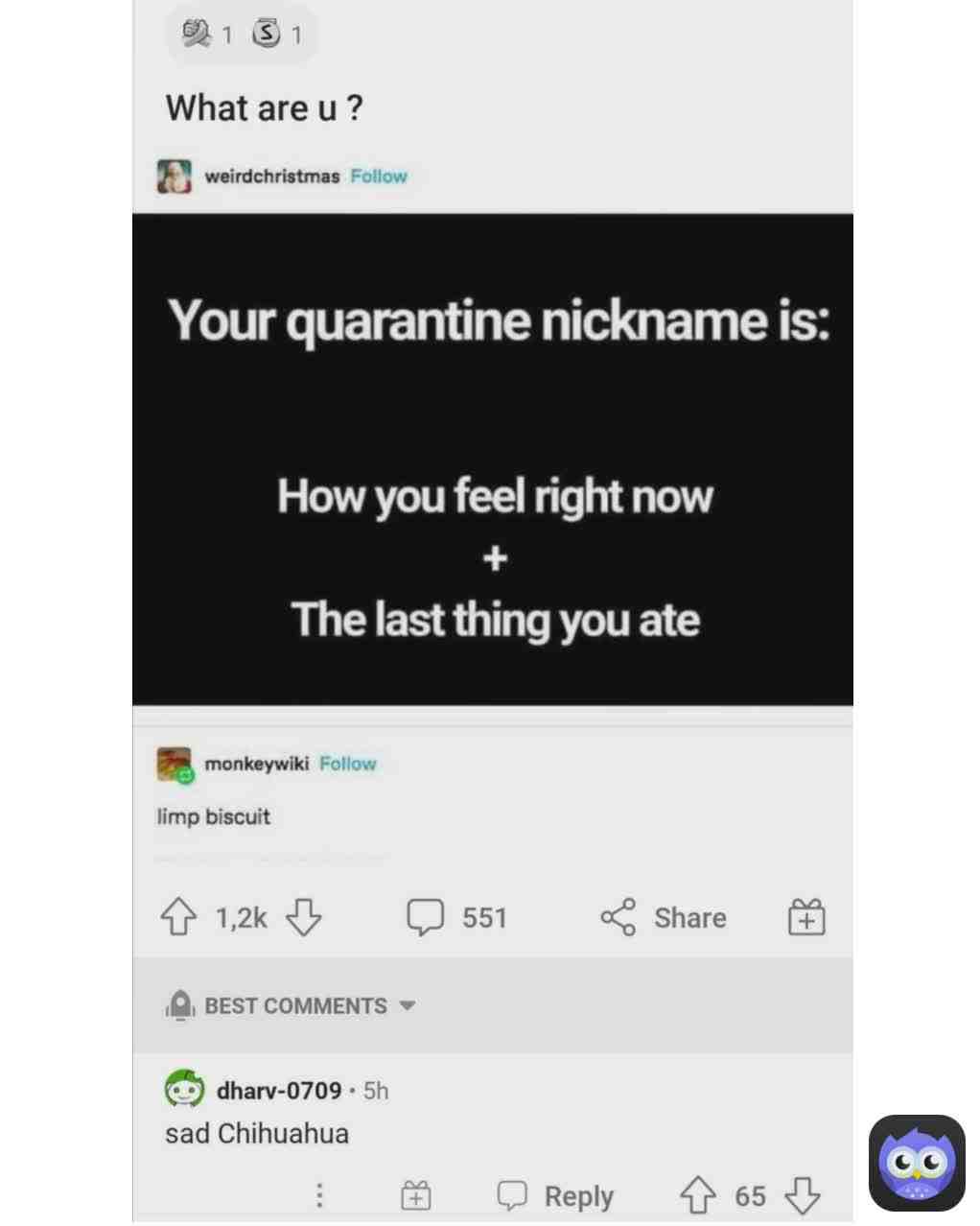 Still getting familiar with the new update but heres another meme :))