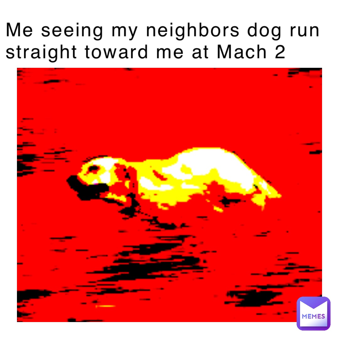 Me seeing my neighbors dog run straight toward me at Mach 2