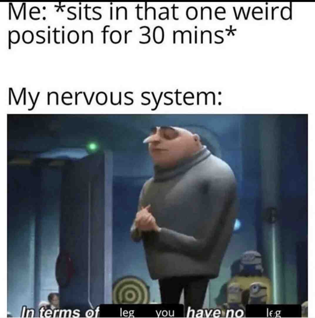 Meme shared by @penguinman_48