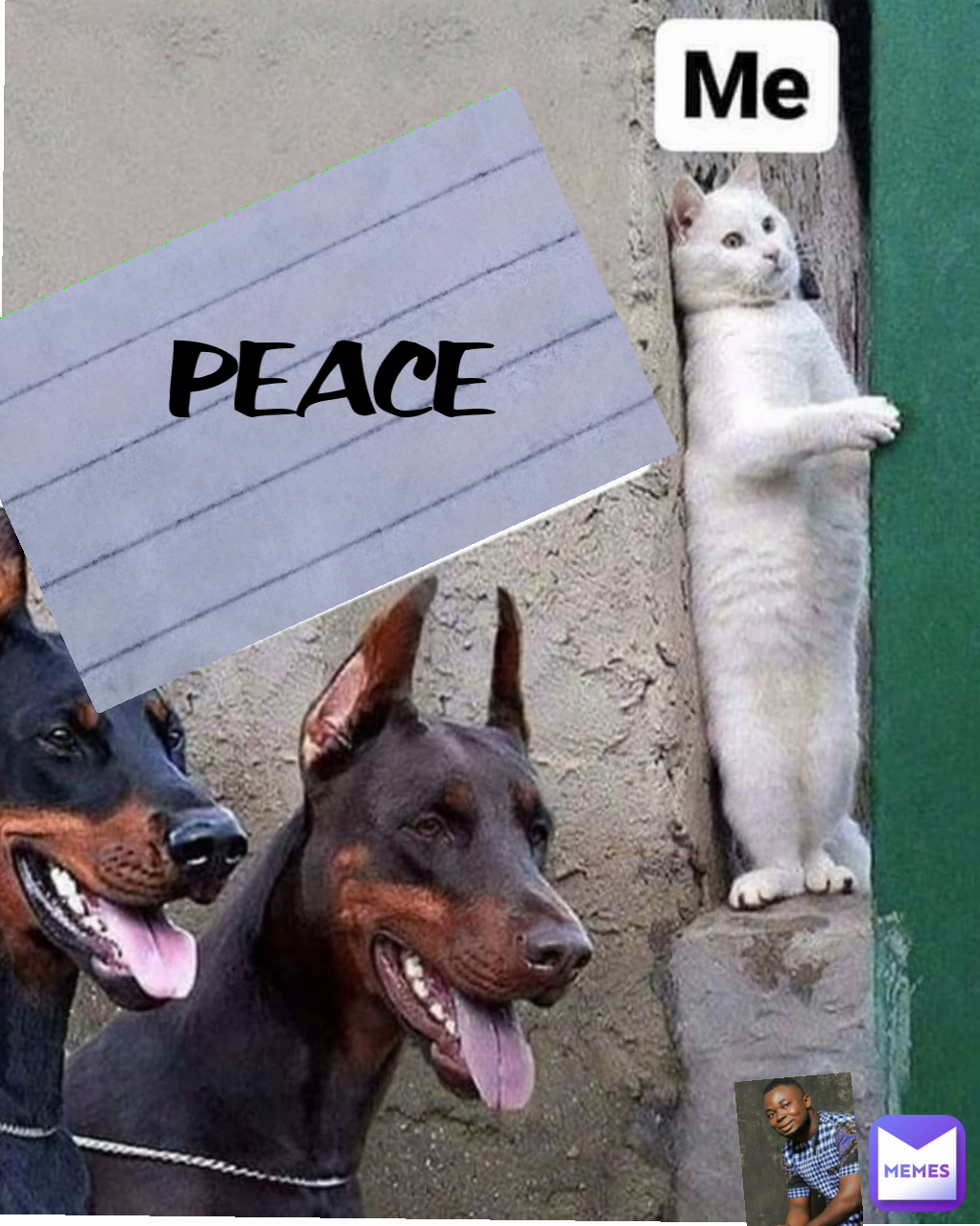 Peace  PEACE