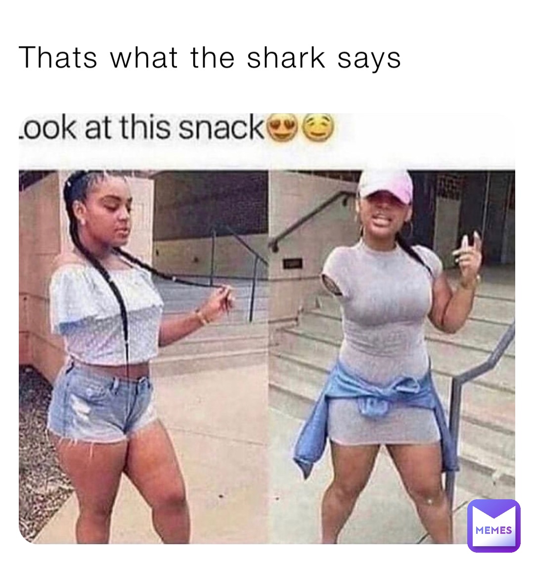 Thats what the shark says